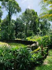 Immersed in Nature: Vinpearl Safari Adventure 🌿🌞