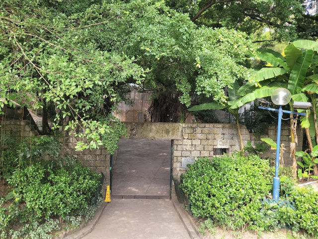 Kowloon Park 九龍公園