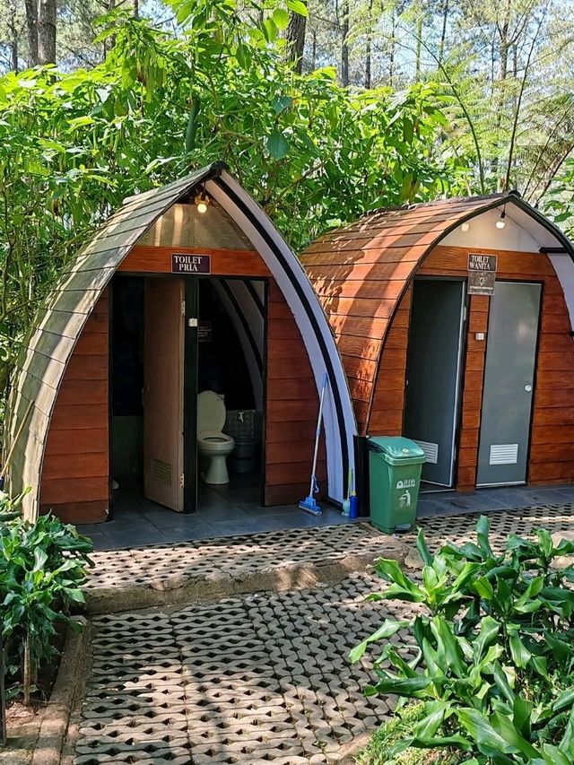 Orchid Forest Cikole: A Nature Escape Orchid Forest Cikole: A Nature Escape