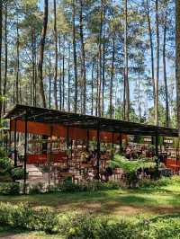 Orchid Forest Cikole: A Nature Escape