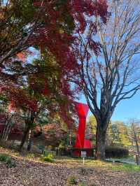 🪻더글라스 가든과 워커힐 산책길