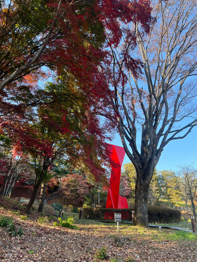 🪻더글라스 가든과 워커힐 산책길