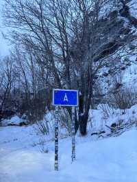 🇳🇴 | 羅弗敦人氣小木屋🌌