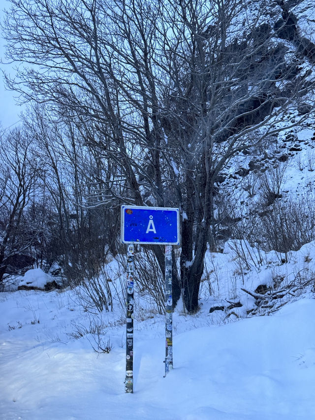 🇳🇴 | 羅弗敦人氣小木屋🌌