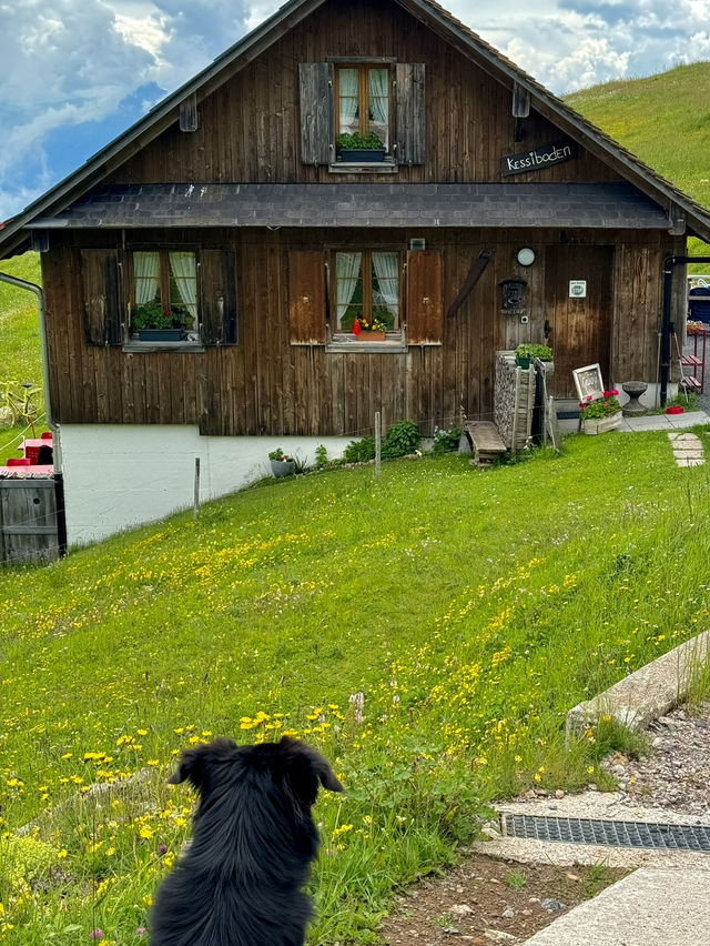 자연하면.. 스위스 그리고 뉴질랜드 자연하면.. 스위스 그리고 뉴질랜드
