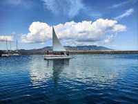 🌟 “The Timeless Blue Jewel of Xinjiang” 🌟