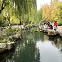 🐟 A Peaceful Local Park Beside the City Center
