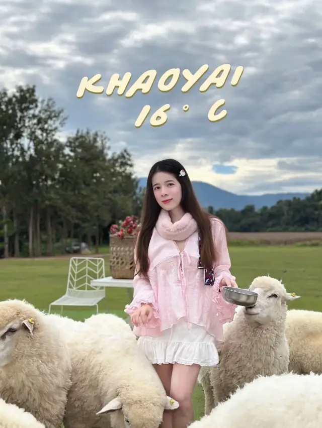 เขาใหญ่ ปีนี้หนาวมากหนาวจริง16องศา🌳❄️