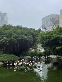 Топ-5 мест в Гонконге, которые обязательно нужно посетить 