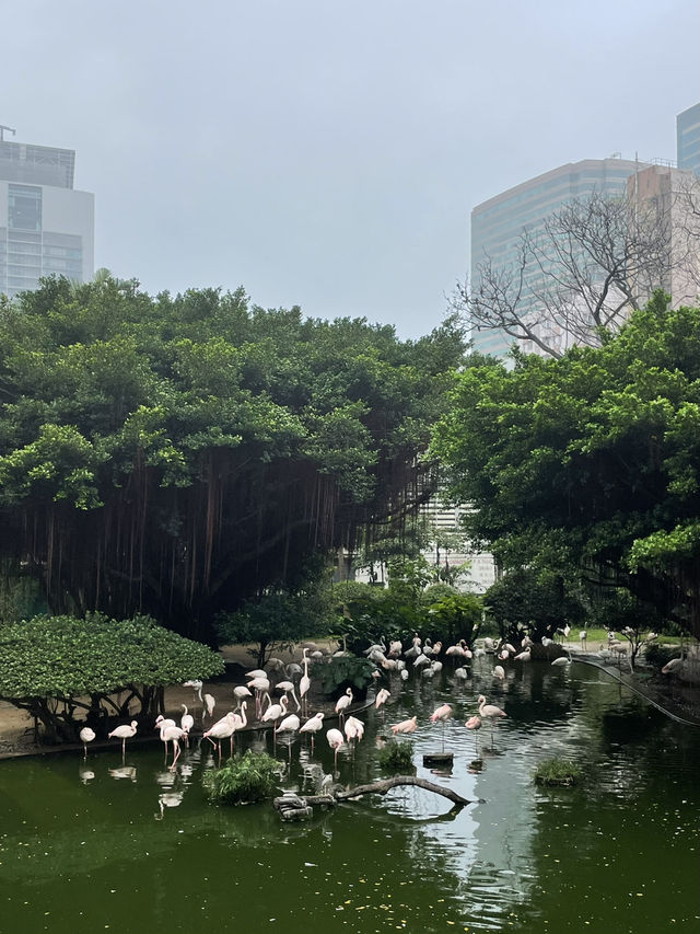 Топ-5 мест в Гонконге, которые обязательно нужно посетить 
