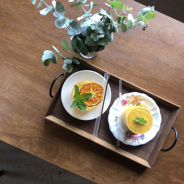 제주 동쪽 감성 카페 이에르바🍊