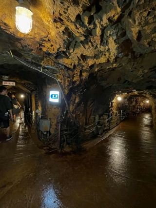 歴史の深淵へダイブ。