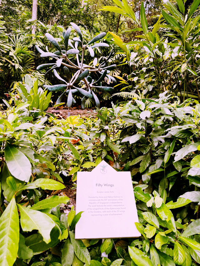 Pro-Tips for Your Botanical Expedition