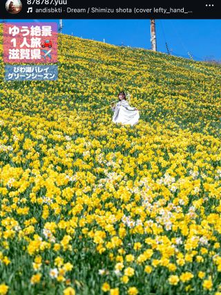 ここ知ってる⁉️滋賀県が誇るナンバー1 観光スポット びわ湖バレイ