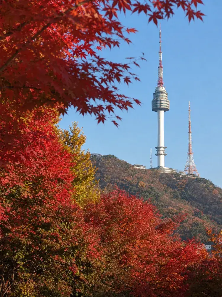 한국 가을 단풍 여행: 풀서비스 왕복 항공권 1,022링깃부터!🍁✈️