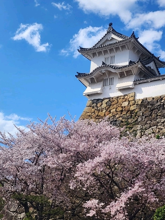 姫路城｜日本の壮麗なる白鷺城。 | Trip.com 姫路