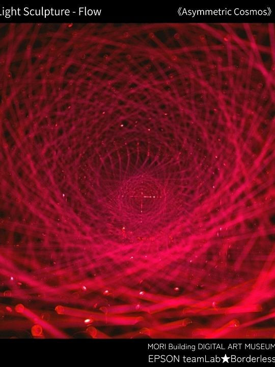 Tokyo] teamLab Borderless at Azabudai Hills: Breathtaking light