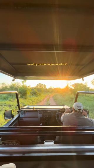 Must stay Safari lodges, SOUTH AFRICA & ZIMBABWE 🐾 ⬇️🦁