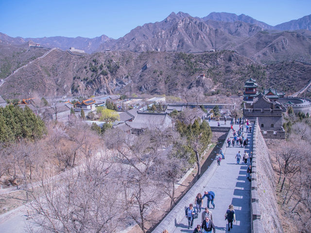 The Ultimate Beijing Day Trip: Great Wall, Forbidden City, Peking Duck & Sanlitun Nightlife!北京经典一日游