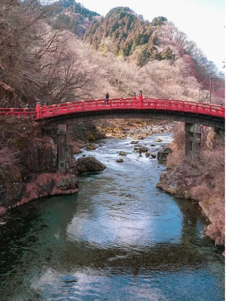 ❄️🇯🇵 日光1日観光プラン | 2024年1月28日