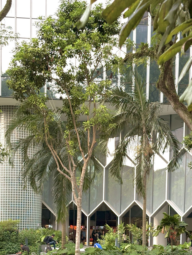 A Giant Beehive Rising Above Bugis
