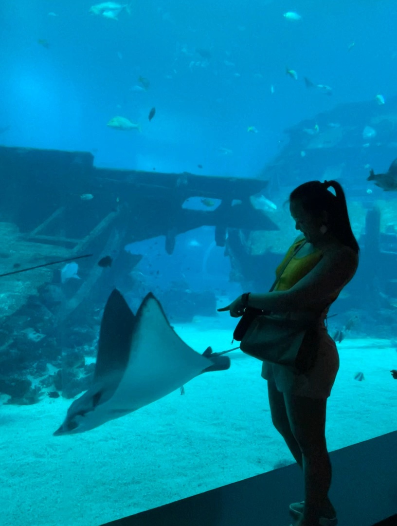 Summer in the Underwater World 🌊🪼 