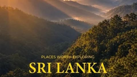 Sri Lanka Bucket List: 8 Must-Visit Gems for Your Wanderlust 🏝️✨ — traveler post in Ella