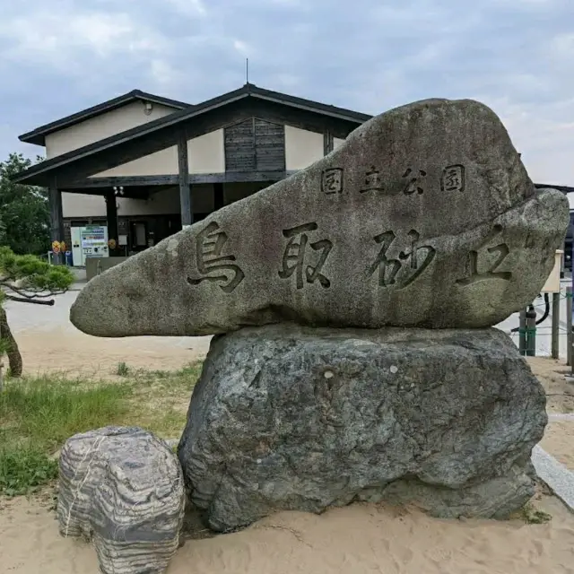 如畫的海洋全景