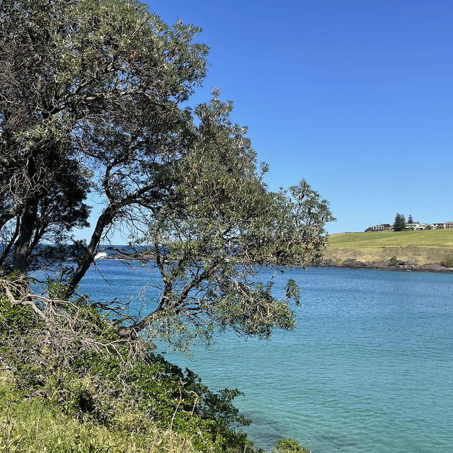 Kiama is so beautiful 