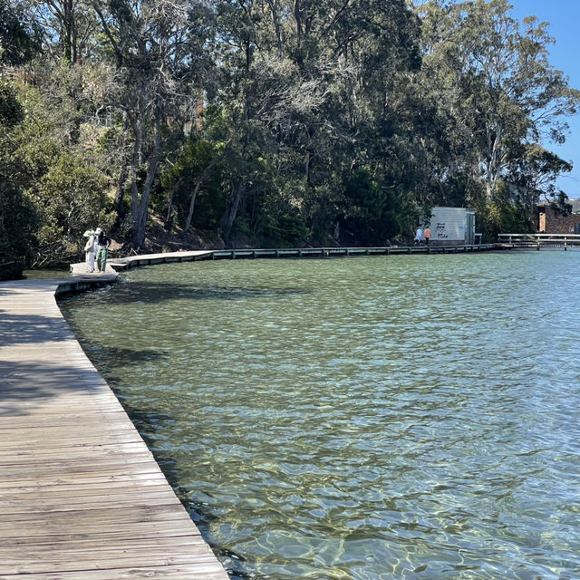 Merimbula Boardwalk around the lake, pristine oyster farms. 