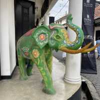🏰✨ Exploring Galle Fort: A Journey Through History! ✨🏰