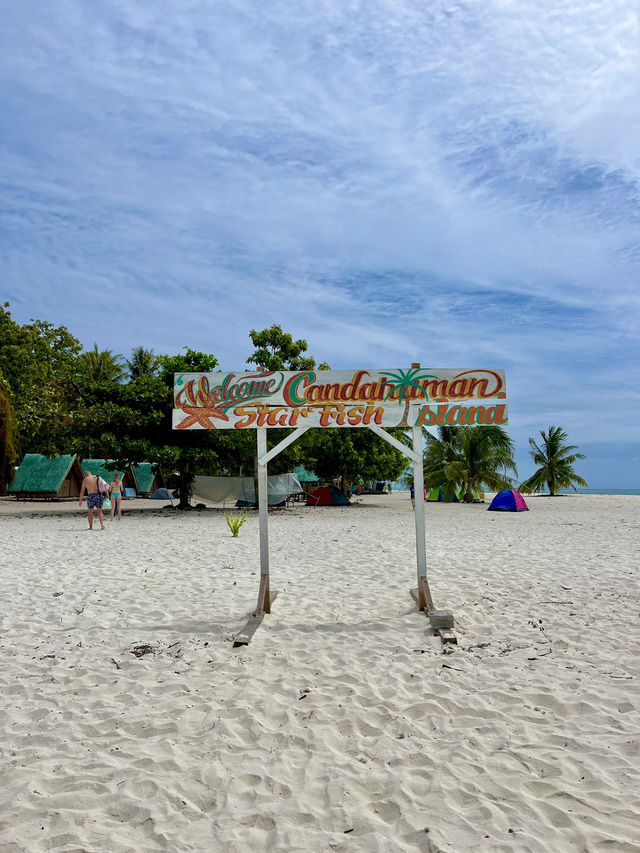 Starfish Paradise in Balabac 