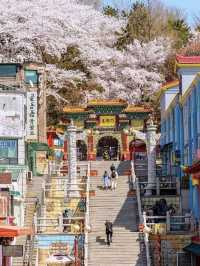 Little chinatown in South Korea. Tasty restaurants and coffee place.