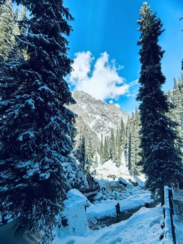 南山雪落時，我離開新疆