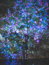 Dive Into a DreamWorld at teamLab SuperNature Macao – Art, Tech & Nature Collide!