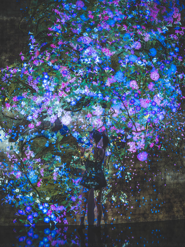 Dive Into a DreamWorld at teamLab SuperNature Macao – Art, Tech & Nature Collide!  Dive Into a DreamWorld at teamLab SuperNature Macao – Art, Tech & Nature Collide!