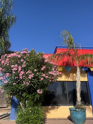 [Tucson, Arizona Food Guide] Experience the Vibe of a Trip to Mexico!