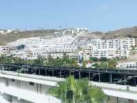 Discover the Spanish Canary Islands🏝️ 