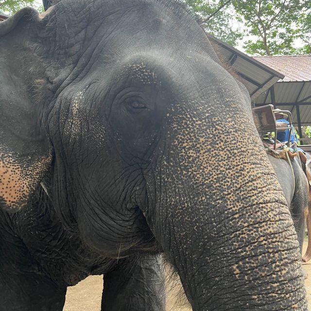 Memories of Thailand