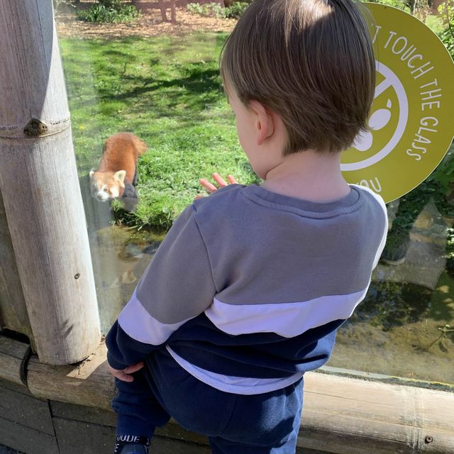 Birthday treat to Chester zoo🐘🦓👌🏽
