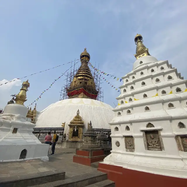 🇳🇵 Kathmandu Monkey Temple 🐒