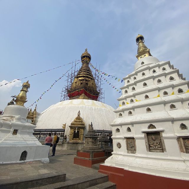 🇳🇵 Kathmandu Monkey Temple 🐒