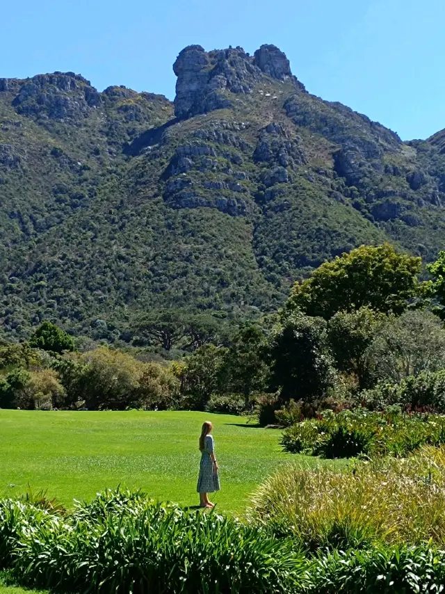 Romantic walk in the Kirstenbosch 