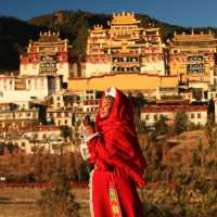 Tibetan Experience, Shangrila 香格里拉