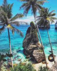 Hidden Gem in the Tropics