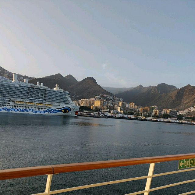 人间净土加納利群島