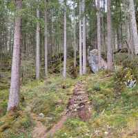 Wonderful hike around Eibsee lake!