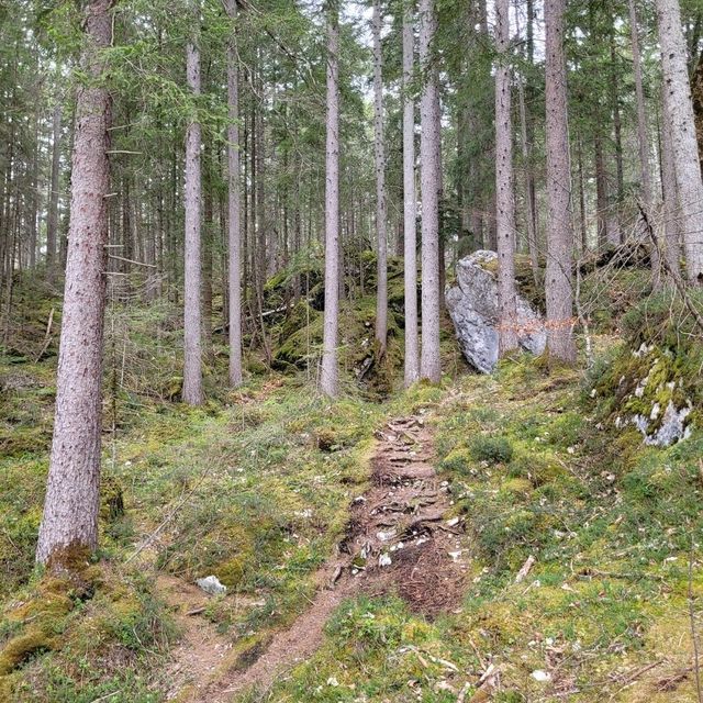 Wonderful hike around Eibsee lake!