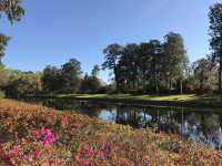 Exploring South Carolina's Historic Jewel