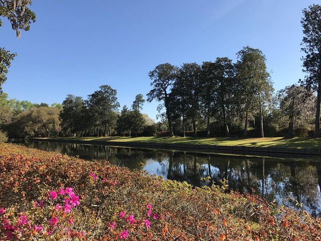 Exploring South Carolina's Historic Jewel